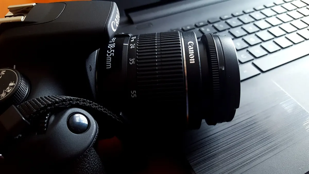 How to Back Up and Future-Proof Your Digital Photo Collection